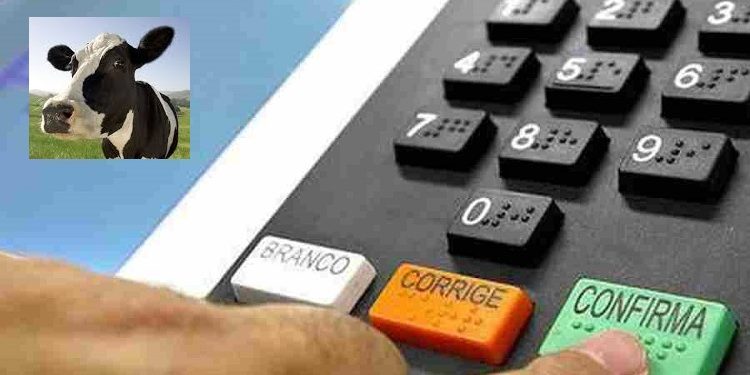 Vaquinhas virtuais de pré-candidatos das eleições de outubro começam neste domingo