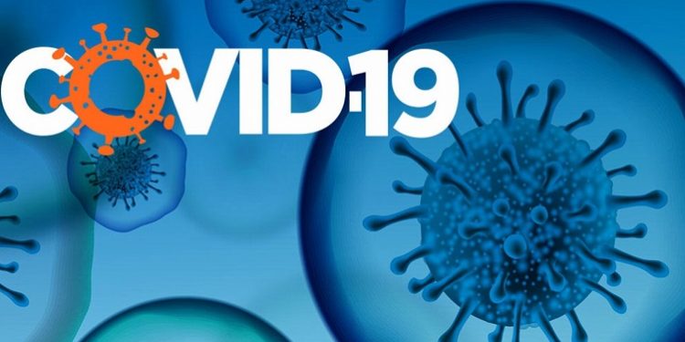 Senadora paraibana testa positivo para Covid-19