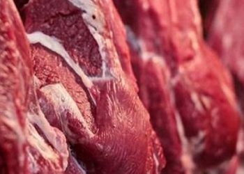 Diferença no preço da carne chega a R$ 47,95 nos supermercados e feiras livres de João Pessoa