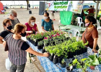 Feira Móvel do Produtor estará esta semana nos bairros Altiplano, Bancários e Brisamar