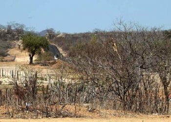 Municípios do Semiárido têm até o dia 30 para responder pesquisa do TCE-PB sobre ações de combate à desertificação
