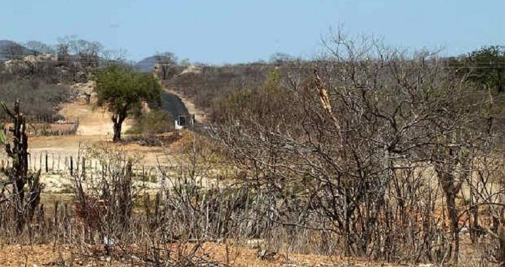 Municípios do Semiárido têm até o dia 30 para responder pesquisa do TCE-PB sobre ações de combate à desertificação