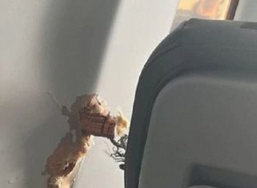 Peça de avião se solta, atravessa fuselagem e fere 3 na Austrália