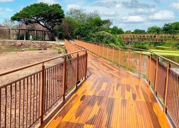 Liberado o acesso ao Vale dos Dinossauros em Sousa