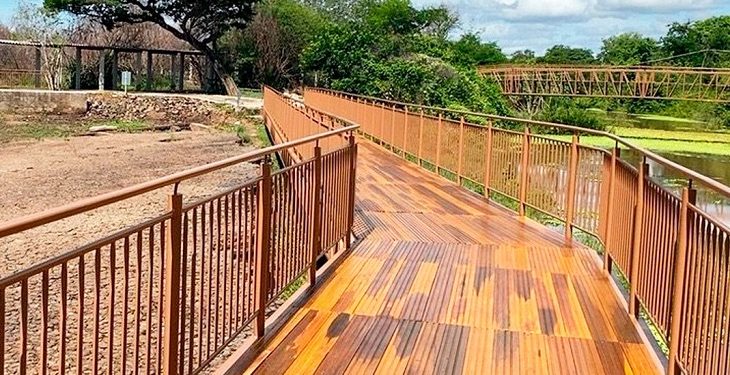 Liberado o acesso ao Vale dos Dinossauros em Sousa