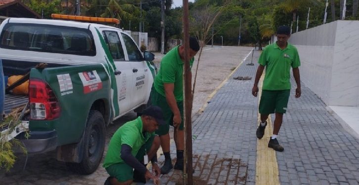 CIDADE DA ÁRVORE: João Pessoa planta mudas de árvores nativas em áreas públicas