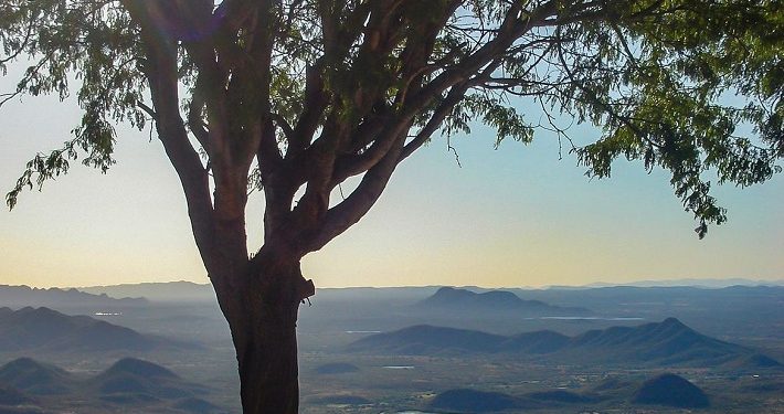 Parque nacional da Serra do Teixeira é criado na Paraíba