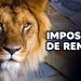 Receita Federal abre nesta quinta-feira consulta ao 4º lote de restituições do Imposto de Renda