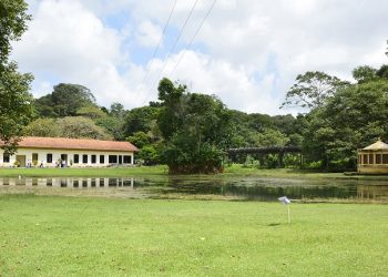 Projeto Férias no Jardim tem início marcado para este sábado no Jardim Botânico de João Pessoa