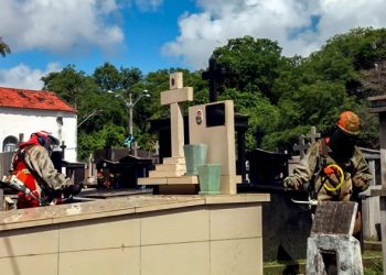 Cemitérios de João Pessoa são preparados para o Dia de Finados