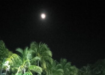 Maior superlua do ano pode ser vista na noite desta quinta-feira