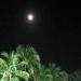 Maior superlua do ano pode ser vista na noite desta quinta-feira