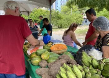 Confira datas e horários e locais da Feira da Agricultura Familiar neste mês de fevereiro em João Pessoa