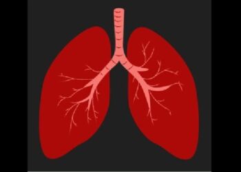 Secretaria de Saúde de Cabedelo capacita profissionais para o manejo clínico da Tuberculose