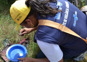 Saúde intensifica combate à dengue, Zika e Chikungunya em João Pessoa