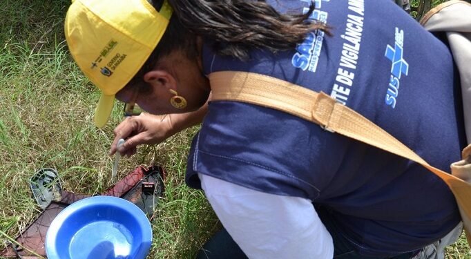 Saúde intensifica combate à dengue, Zika e Chikungunya em João Pessoa