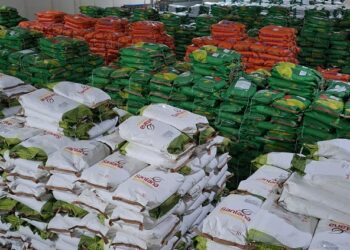 Governo da Paraíba distribui 520 toneladas de sementes com agricultores de todo Estado