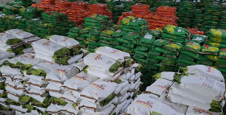 Governo da Paraíba distribui 520 toneladas de sementes com agricultores de todo Estado