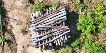 Órgãos ambientais da Paraíba iniciam Operação Caatinga Resiste