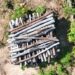 Órgãos ambientais da Paraíba iniciam Operação Caatinga Resiste