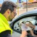 Semob de João Pessoa recebe prêmio nacional como órgão com mais ações no combate e prevenção de mortes no trânsito