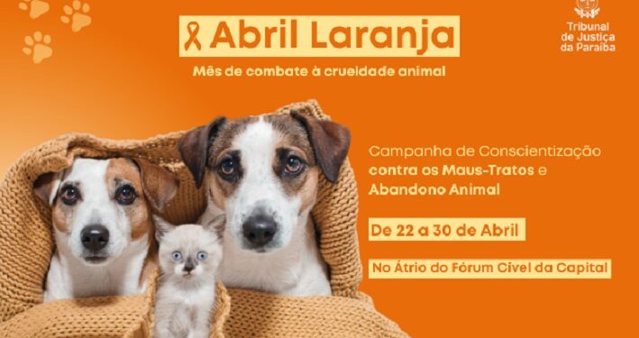Campanha contra maus-tratos a animais tem início neste dia 22 no Fórum Cível de João Pessoa